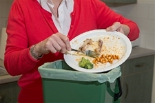 Use your caddy to collect all cooked and uncooked food waste