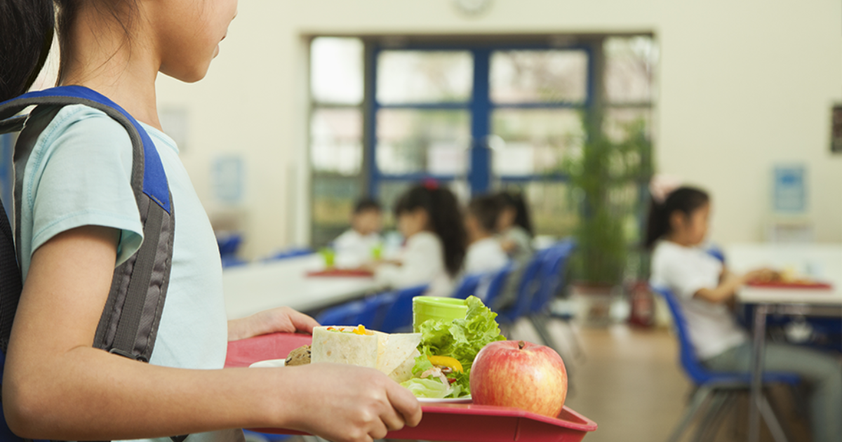 Free school meals and school clothing grants primary and secondary