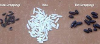 Rat and Mice Droppings