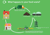 Image showing the journey of food waste from bin to compost on farm