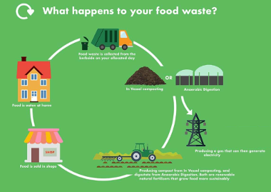 Image showing the journey of food waste from bin to compost on farm
